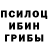 Галлюциногенные грибы Psilocybe Ksusha Hrusha
