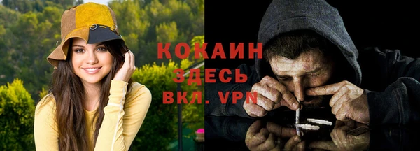 PSILOCYBIN Вязники