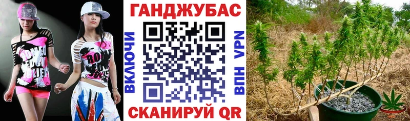 Каннабис Ganja  darknet как зайти  Ейск  где купить наркоту 